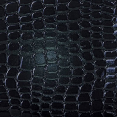 Kris Jenner - Single