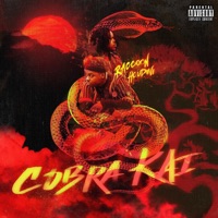 Cobra Kai (feat. Houdini Greatness) - Single - Raccoon