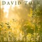 Pray - David Tolk lyrics