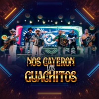 Nos Cayeron los Guachitos - Single - LOS DOS DE TAMAULIPAS & Los Farmerz