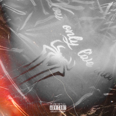 Spider Boyz (feat. youngraesk.) - Single