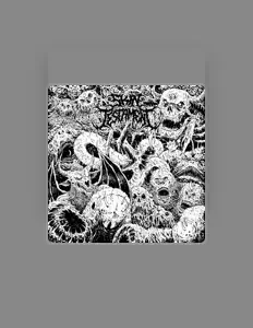 Listen to Skin Testament, watch music videos, read bio, see tour dates & more!