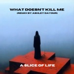 A Slice Of Life, Whispers In The Shadow & The Devil & The Universe - What Doesn't Kill Me (Ashley Dayour Remix)
