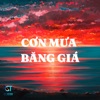 Cơn Mưa Băng Giá