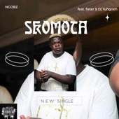 Skomota Dance (To Shebeshxt,Mellow n Sleazy & Dj Maphorisa) (feat. Fister & Dj Tuhgoeh) artwork