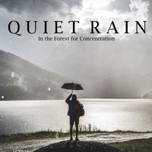 Quiet Rain in the Forest for Concentration