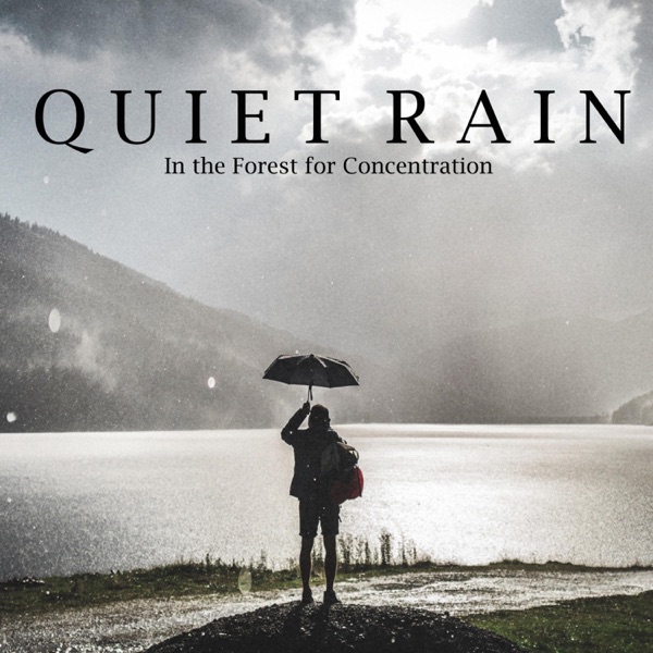 Quiet Rain in the Forest for Concentration