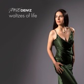 Waltzes of Life artwork