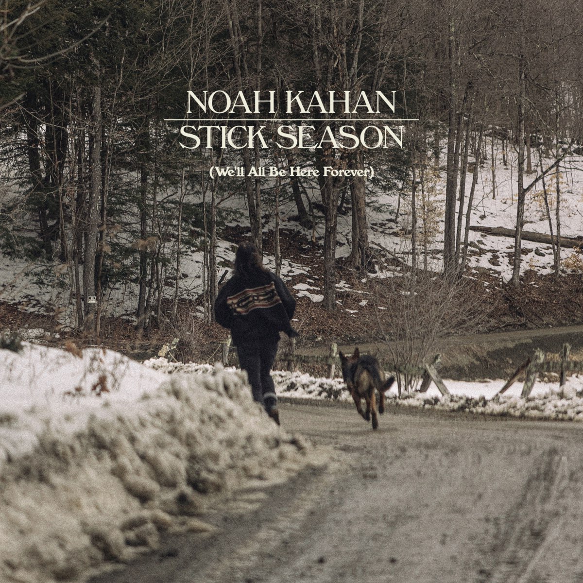 ‎Stick Season (We'll All Be Here Forever) - Album by Noah Kahan - Apple ...