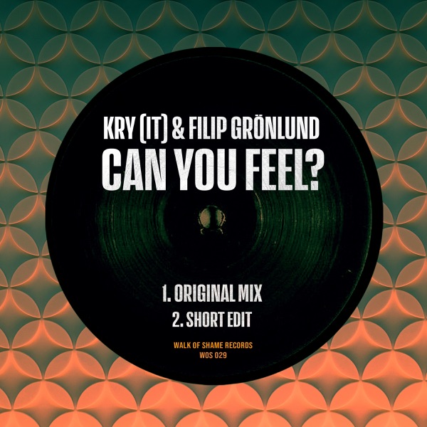 Can You Feel? - Single