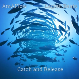 Catch and Release AmAFlow