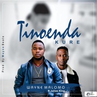 Tinoenda Kure (feat. Julian King) - Single - WayneBeats Malomo