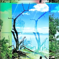 Nvr Felt Like This - Single - LilacPulse