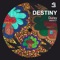 Destiny - Duray lyrics