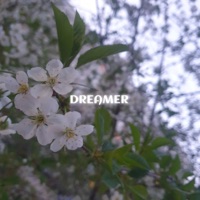 Dreamer - Single - SAURONOV