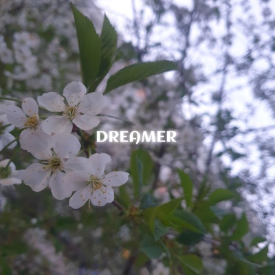Dreamer - Single