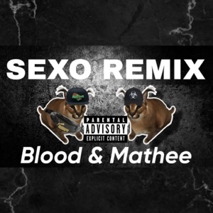 Sexo (Remix) - Single