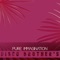 Pure Immagination (Cutl Mix) - Disco Brothers lyrics