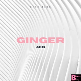 Ginger (feat. Bees blog) 4EB