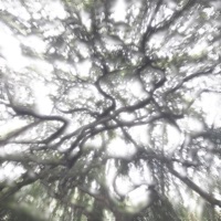 Silver Gleam - Single - TONTO & xato