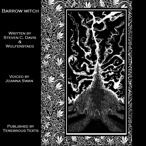 Barrow Witch: The Saelvatici (Unabridged) cover
