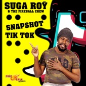 Snapshot Tik Tok artwork