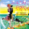 Elvarázsolt éj cover art