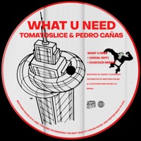 What U Need - Single - TOMATOSLICE & Pedro Cañas