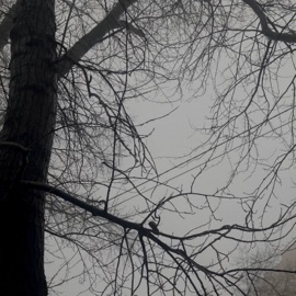 записки (feat. Angelnocry) sandezz