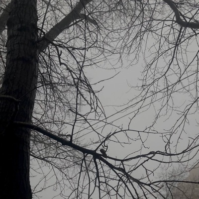 записки (feat. Angelnocry) - Single