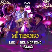 Mi Tesoro (En Vivo) - Single - Los 3 Del Norteño & Sheyla