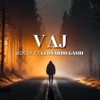 VAJ (feat. LEONARDO GASHI) - Single - KOOLT