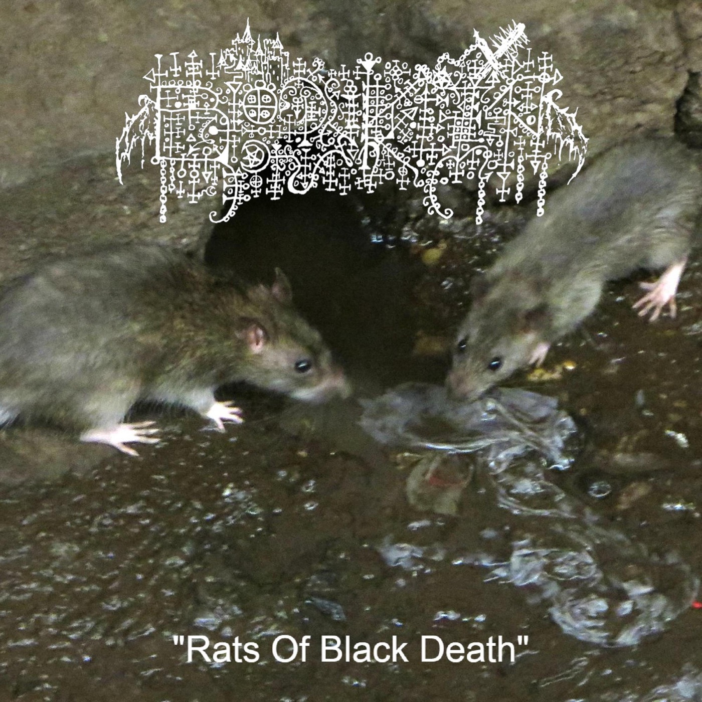 Rats of Black Death by Bloody Keep