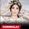 Shukarija (feat. Sinan Hoxha) [Radio Edit] - Soni lyrics