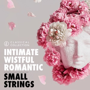 Classical Collection - Small Strings