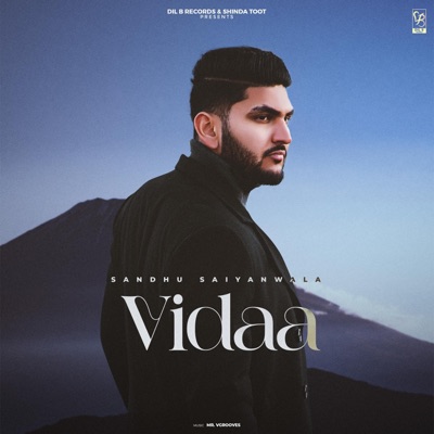 Vidaa - Single