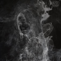 The Fog - Single - 608