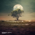 Lunar Calm - Single
