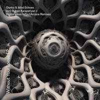 Without Your Noose (Digital Mess Remix) - Single - Gorkiz & Mind Echoes