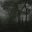 Smoky (feat. Richmnkey & Eternal peace) [Opium remix] - Single