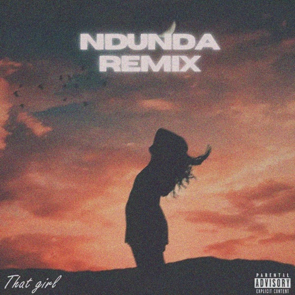 That girl (feat. Bodacious Harry & Ndunda) [Ndunda Remix]