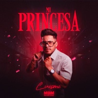 Mi Princesa - Single - Luismi