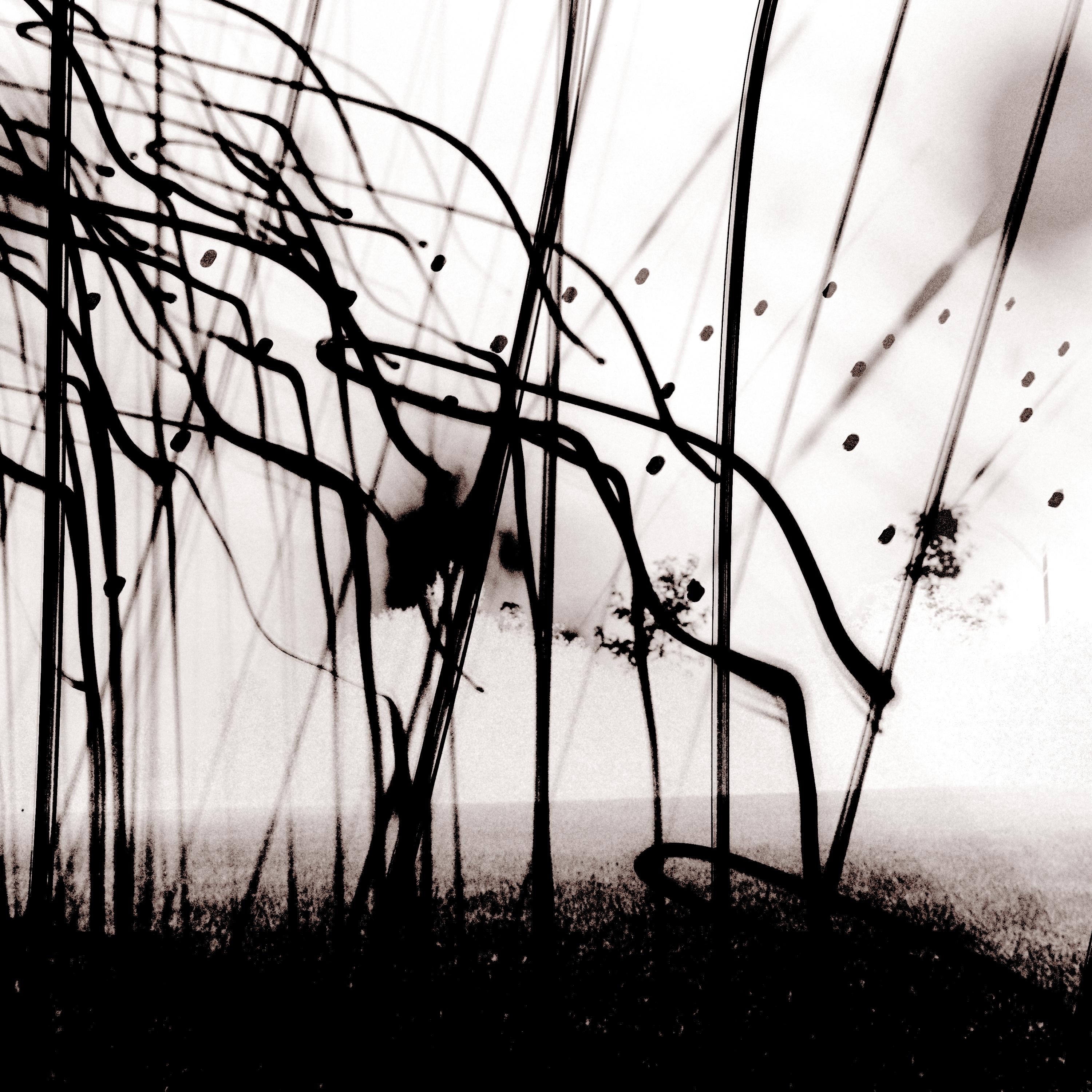 Throw Me In the Trash - Single