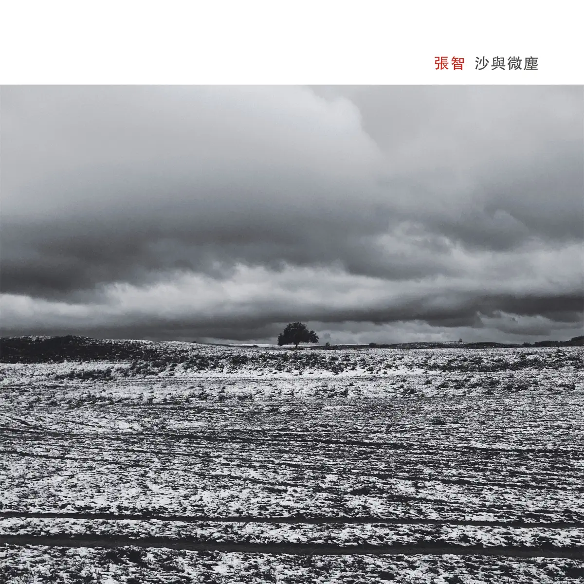 張智 - 沙与微尘 (2019) [iTunes Plus AAC M4A]-新房子