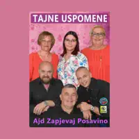 Nigdje kraja Posavskoga — Tajne uspomene