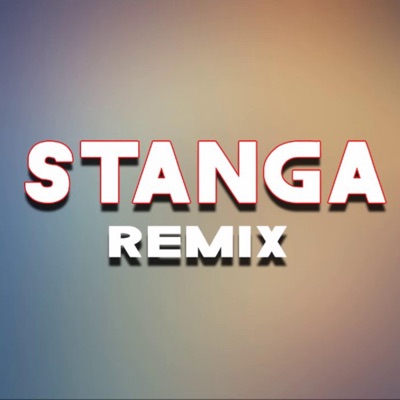 Stanga (Remix) - NightX | Shazam