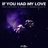 If You Had My Love (Extended Mix) artwork