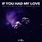 If You Had My Love (Extended Mix) artwork