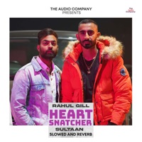 Heart Snatcher (feat. Sultaan) [Slowed and Reverb] - Single - Rahul Gill