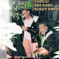 Pavane For Some Great Kush - Single - Chasinbens